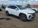 Hyundai TUCSON Limited Image 3