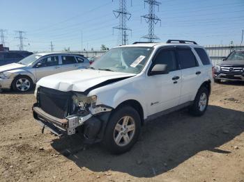  Salvage Ford Escape