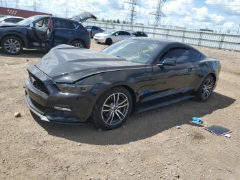  Salvage Ford Mustang