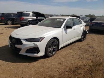  Salvage Acura TLX