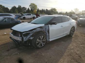  Salvage Nissan Maxima