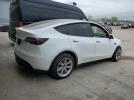 Tesla Model Y Image 6