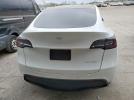 Tesla Model Y Image 12