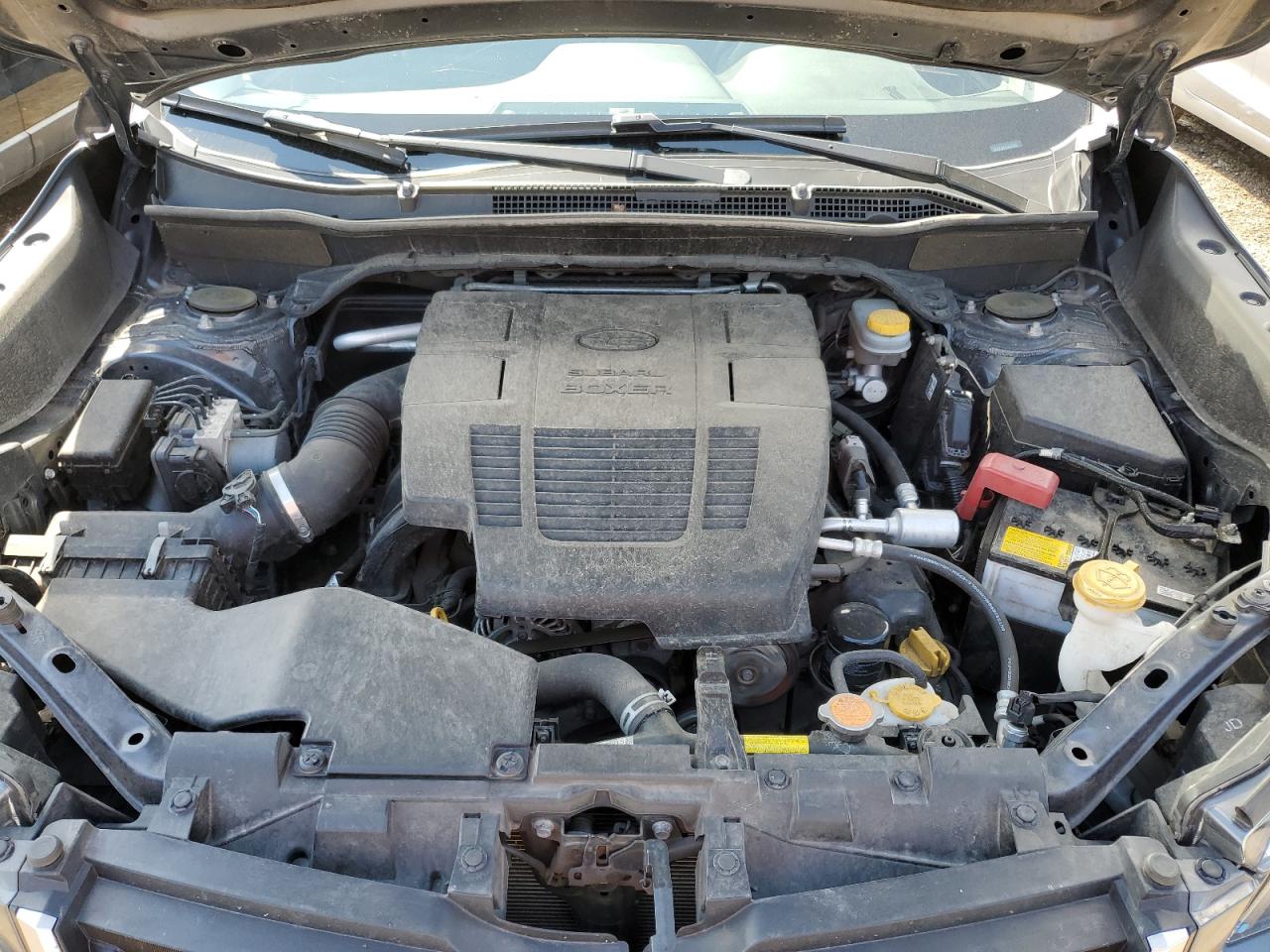 Subaru Forester Image 8