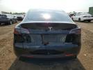 Tesla Model Y Image 12
