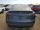 Tesla Model Y Image 6