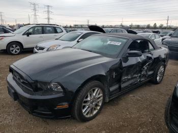  Salvage Ford Mustang