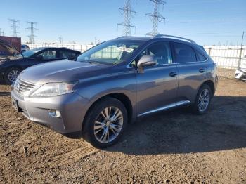  Salvage Lexus RX