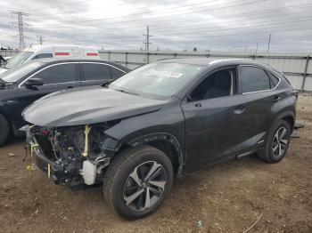 Salvage Lexus NX