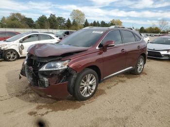  Salvage Lexus RX