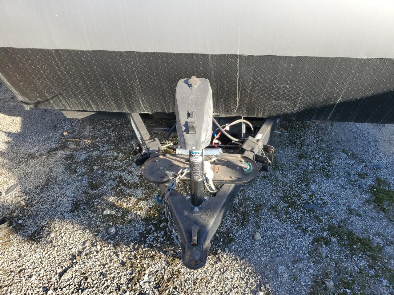 Wildwood Grey Wolf Image 5