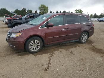  Salvage Honda Odyssey