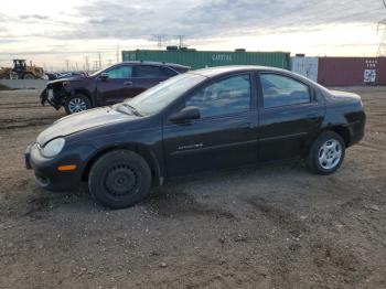  Salvage Dodge Neon