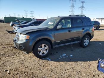  Salvage Ford Escape