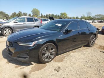  Salvage Acura TLX