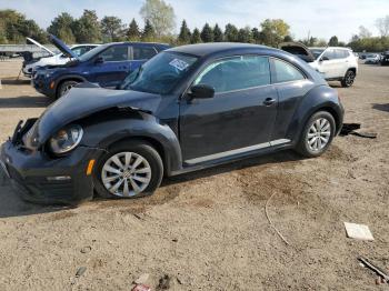  Salvage Volkswagen Beetle
