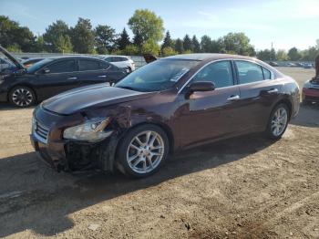  Salvage Nissan Maxima