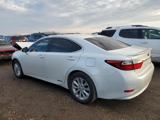 Lexus Es 300h Image 5