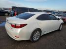 Lexus Es 300h Image 6