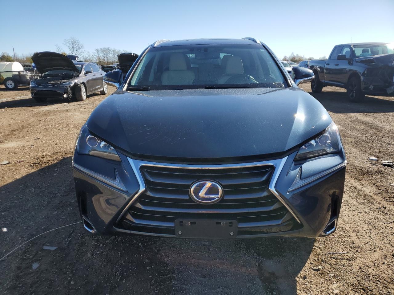 Lexus NX 300h Image 8