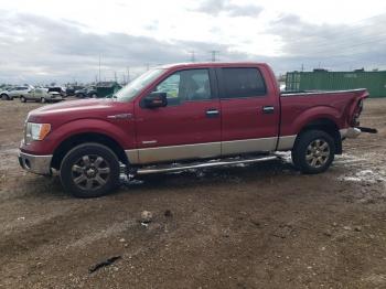  Salvage Ford F-150