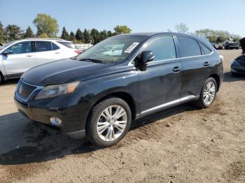  Salvage Lexus RX