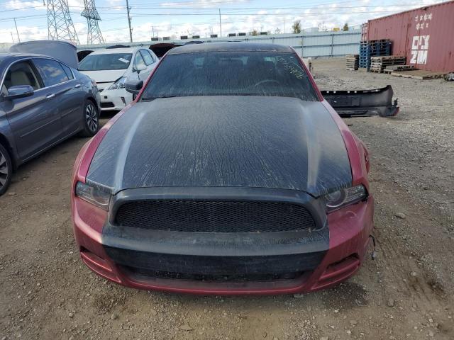 Ford Mustang Image 10