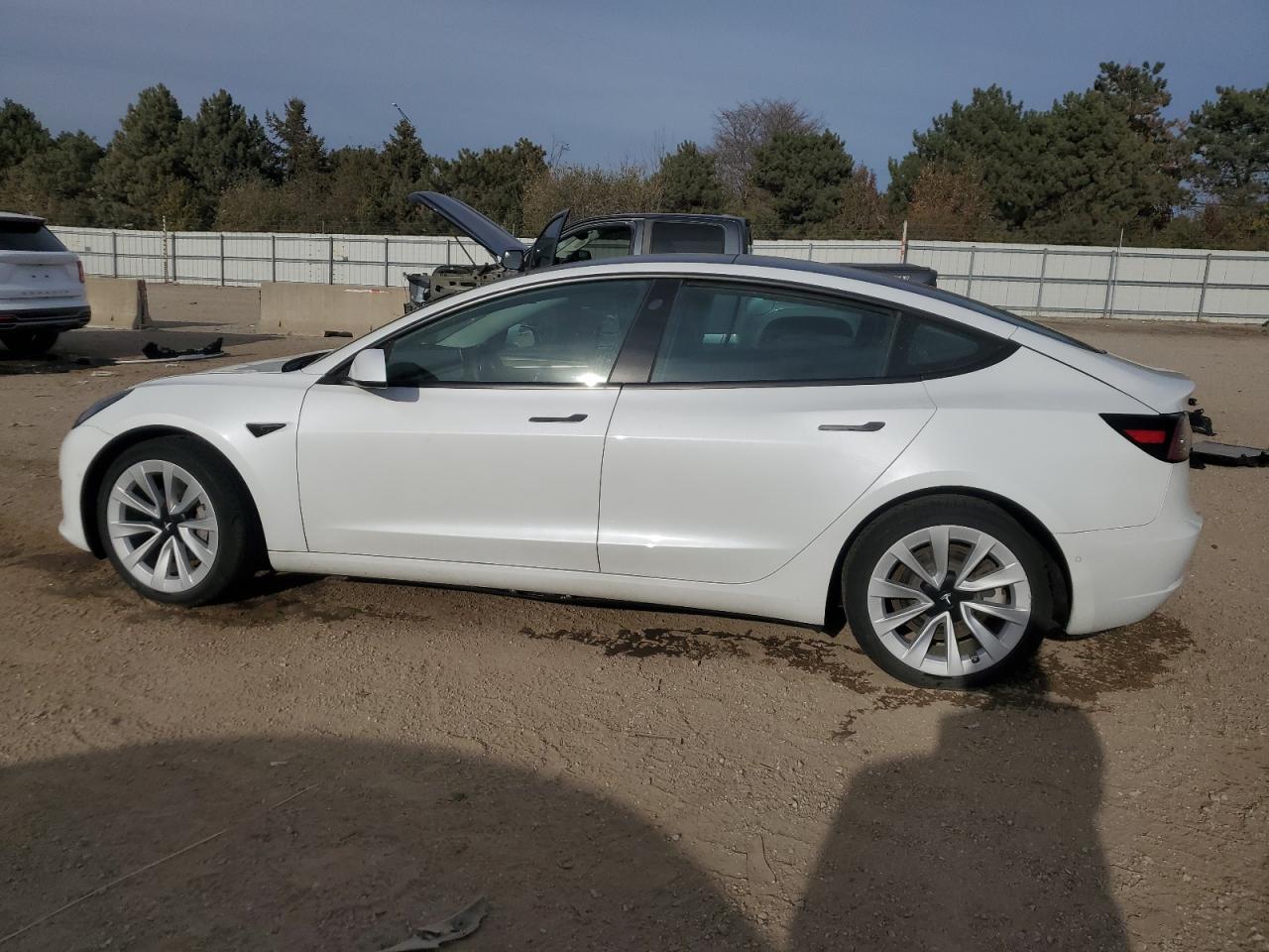 Tesla Model 3 Image 2