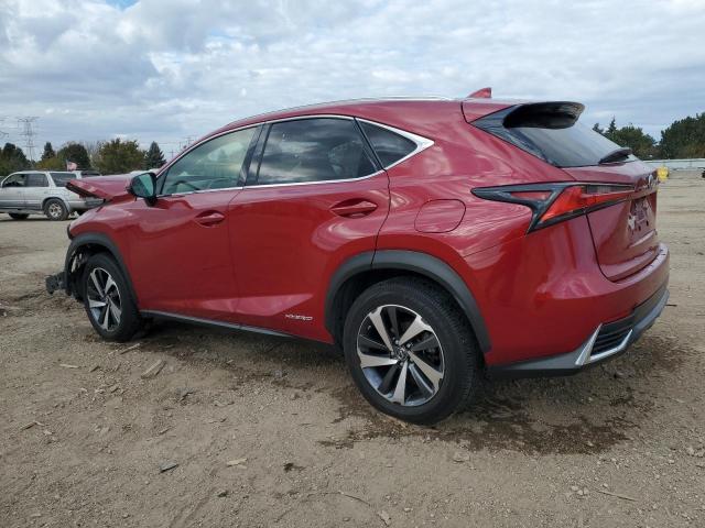 Lexus NX 300h Image 3