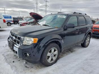  Salvage Ford Escape