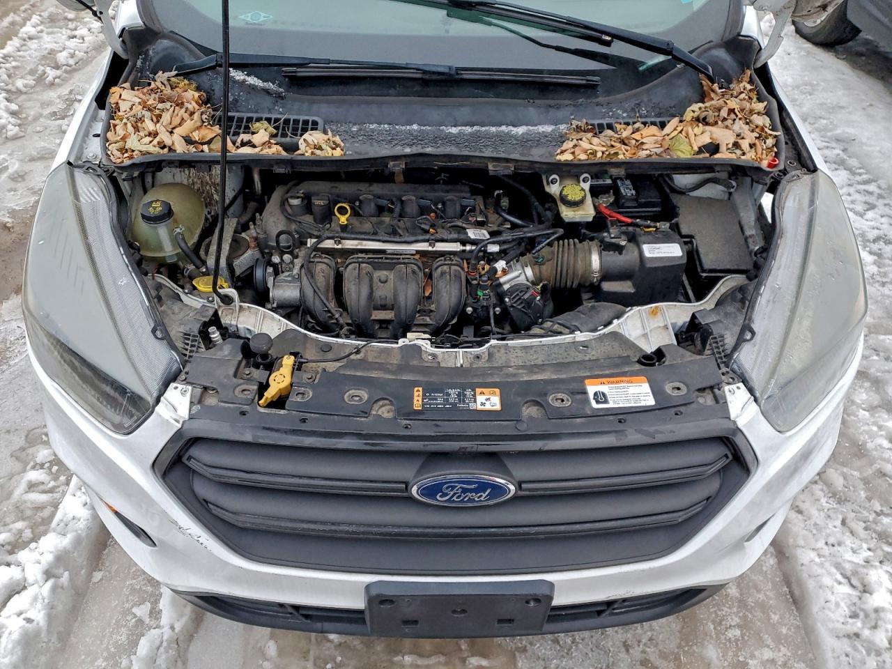 Ford Escape S Image 10