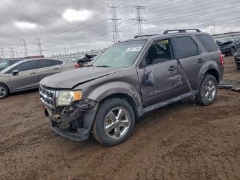  Salvage Ford Escape