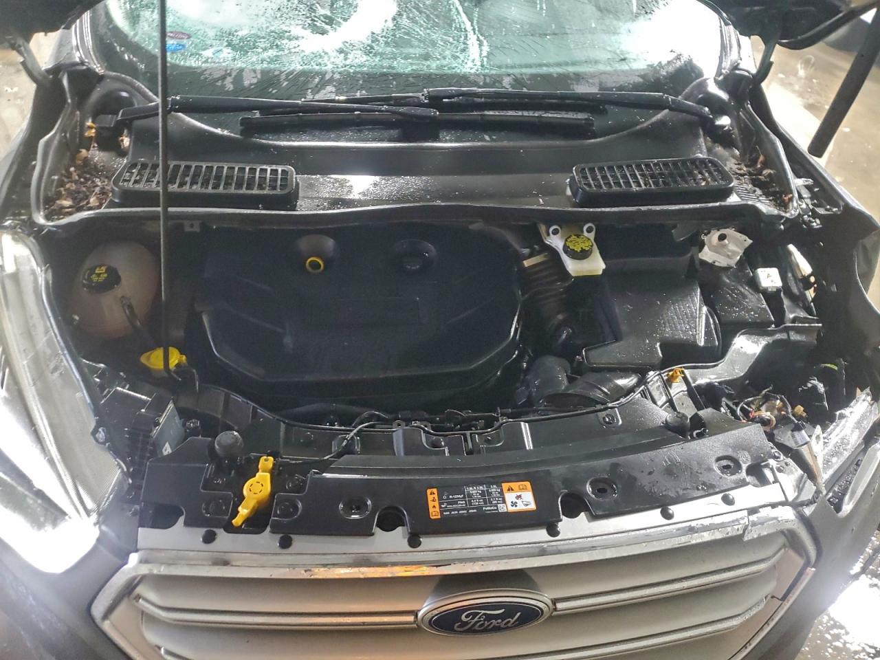 Ford Escape Titanium Image 9