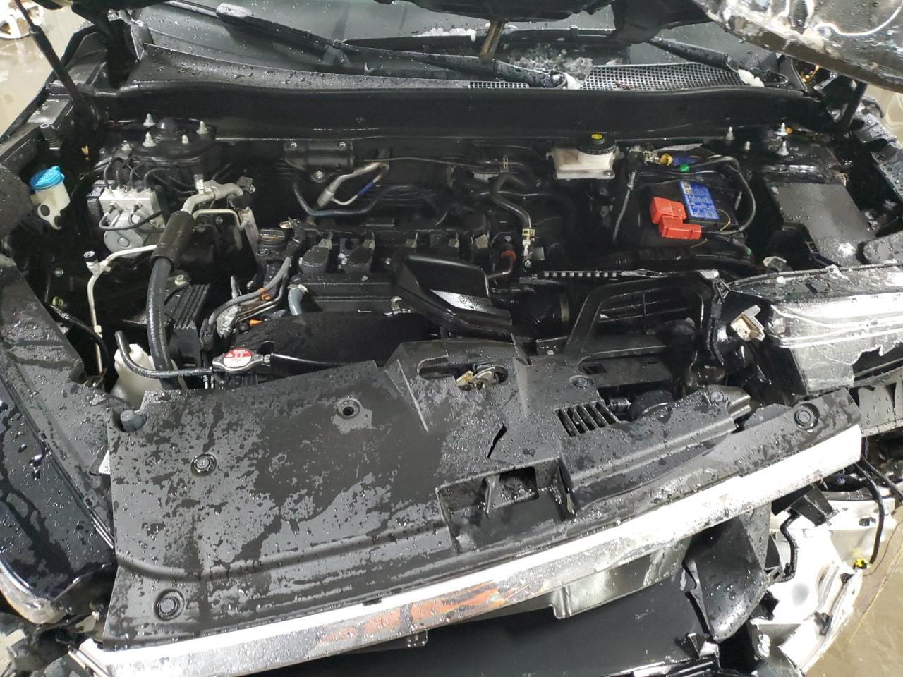 Honda Crv Exl Image 8