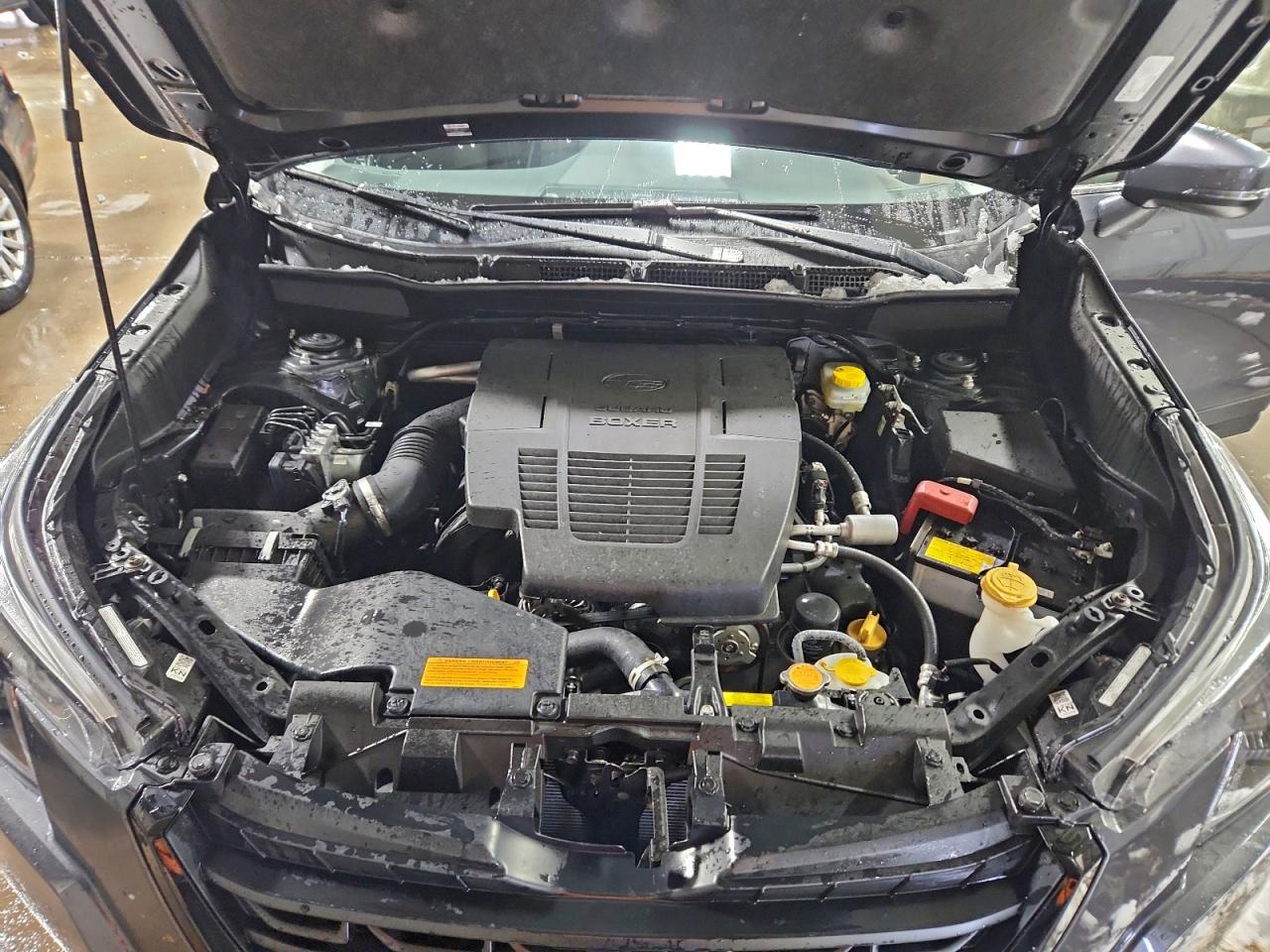 Subaru Forester Limited Image 8