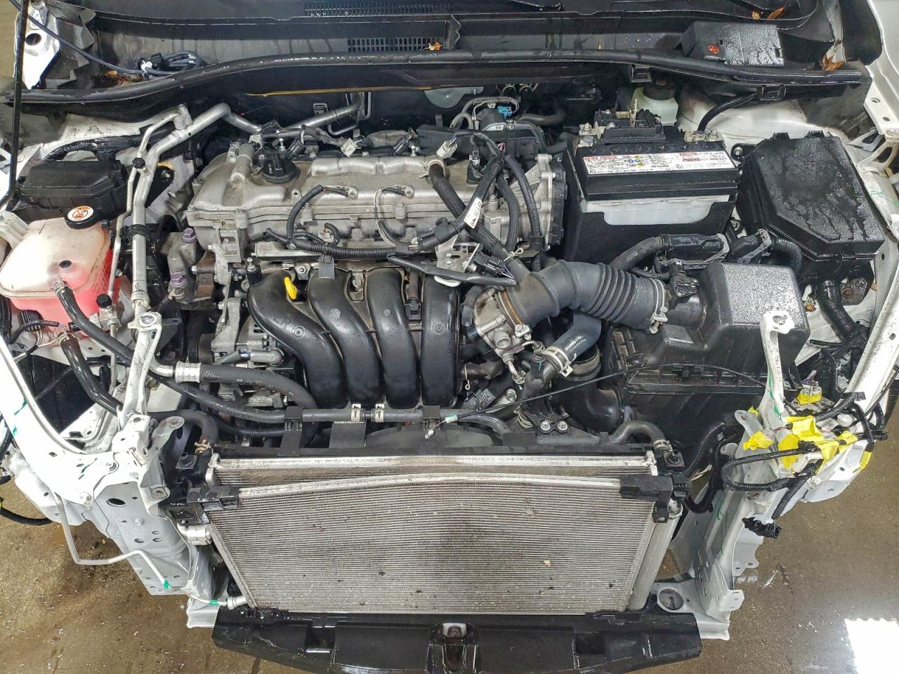 Toyota C-HR Xle Image 6