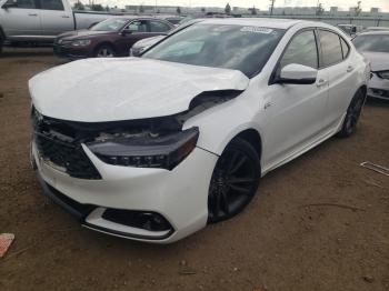  Salvage Acura TLX