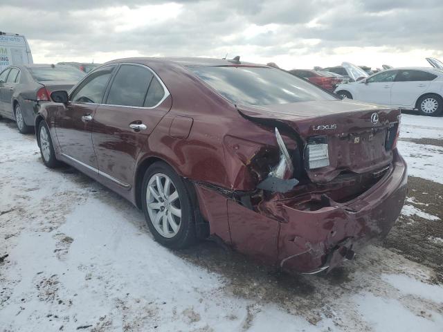 Lexus LS 460 Image 2