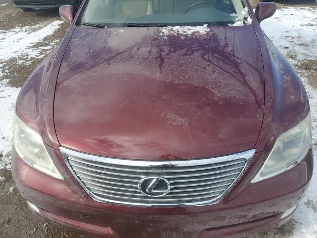 Lexus LS 460 Image 10