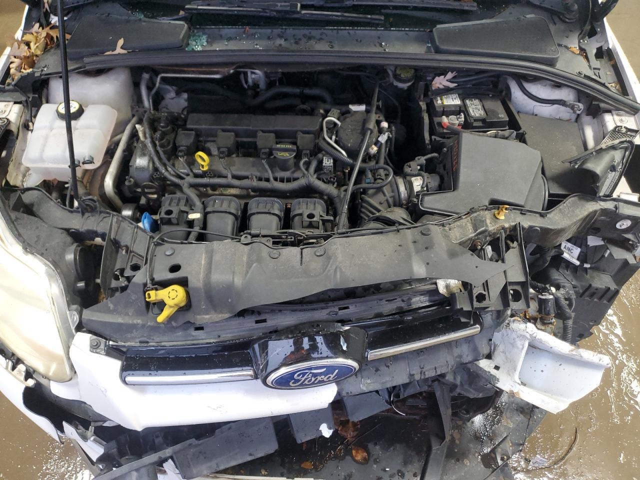 Ford Focus Sel Image 8