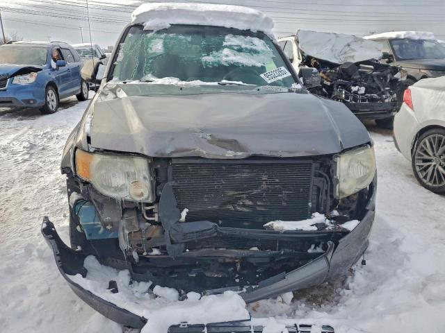 Ford Escape Xlt Image 3