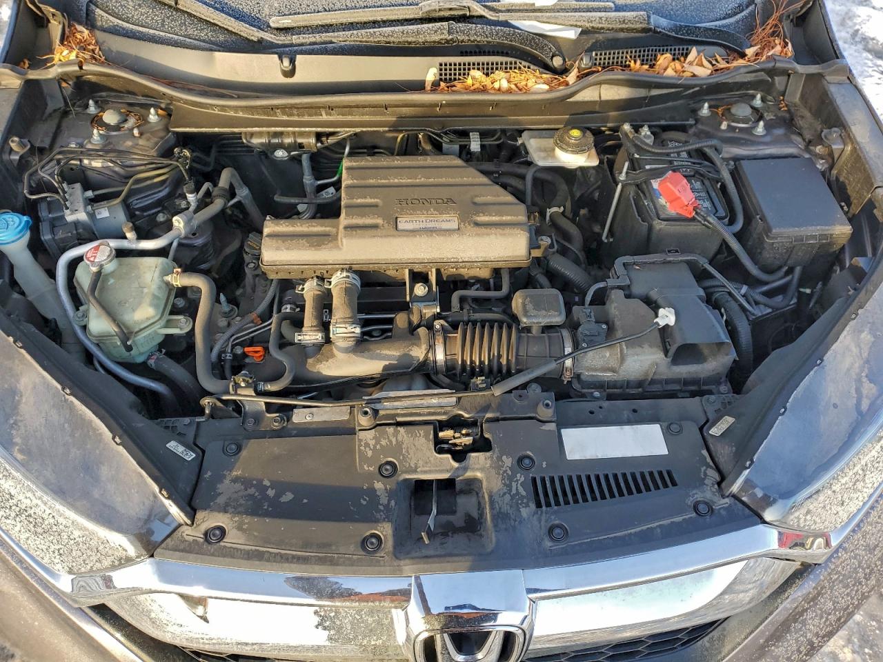 Honda Crv Ex Image 11