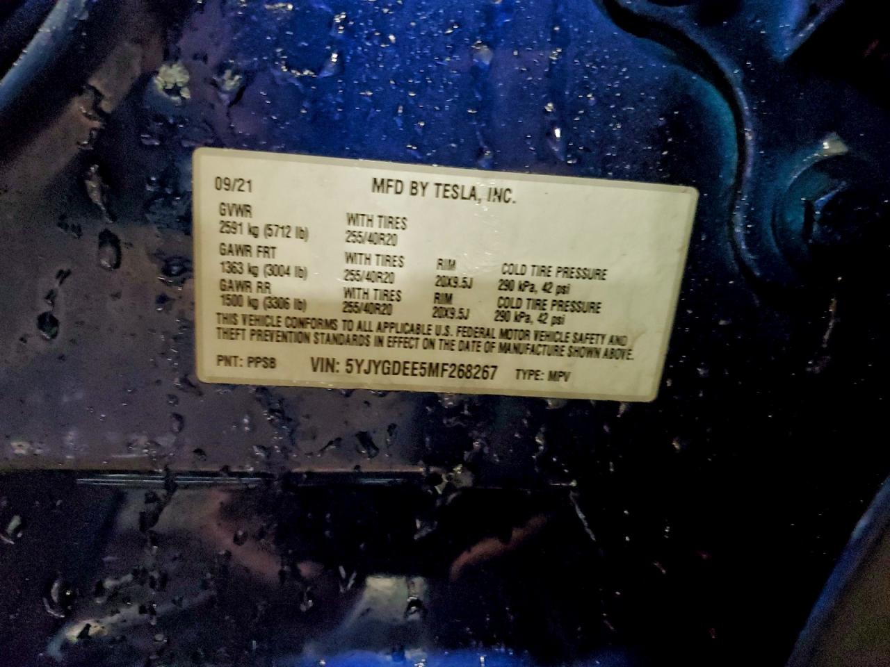 Tesla Model Y Image 9