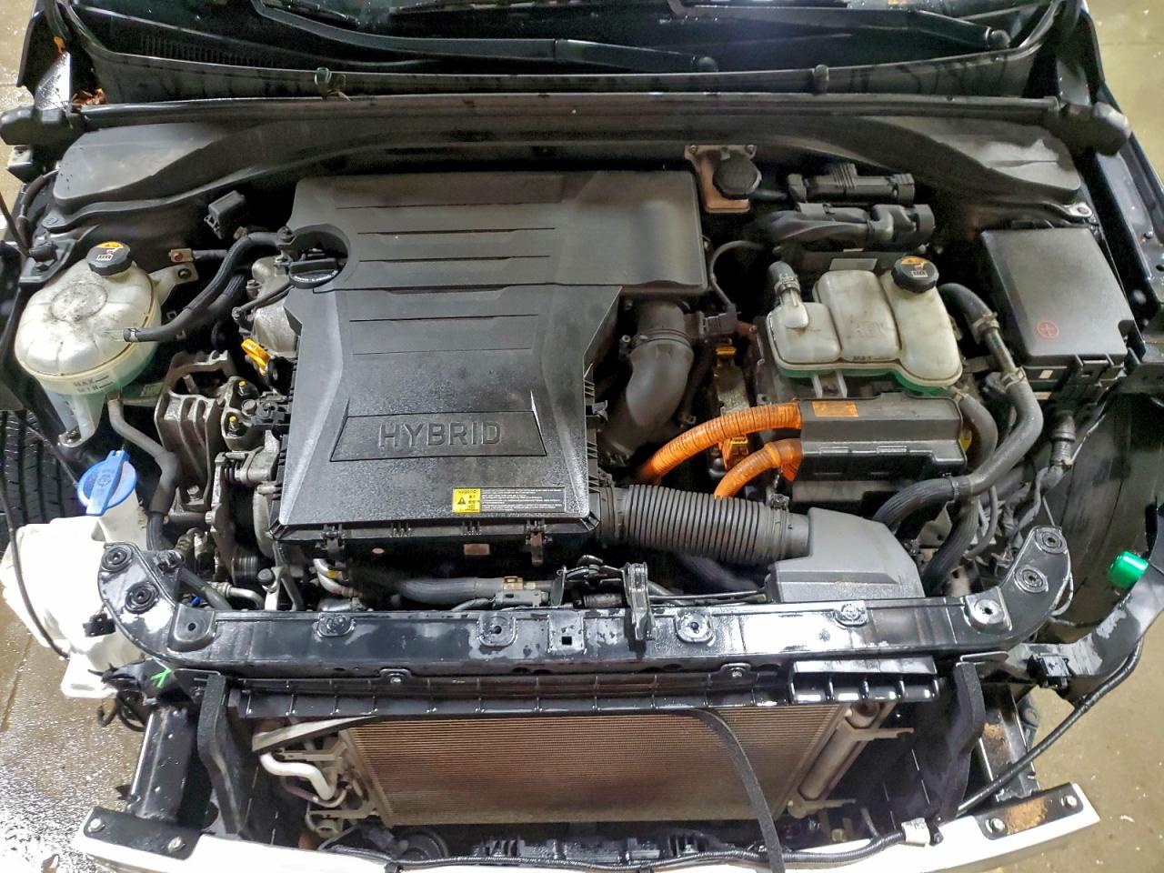 Hyundai Ioniq Blue Image 3