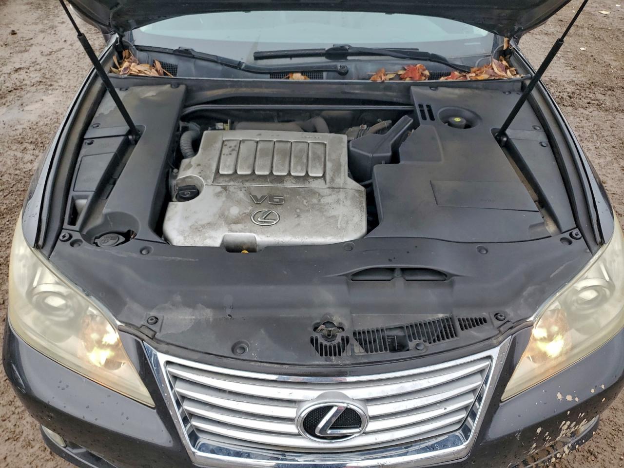 Lexus Es 350 Image 8