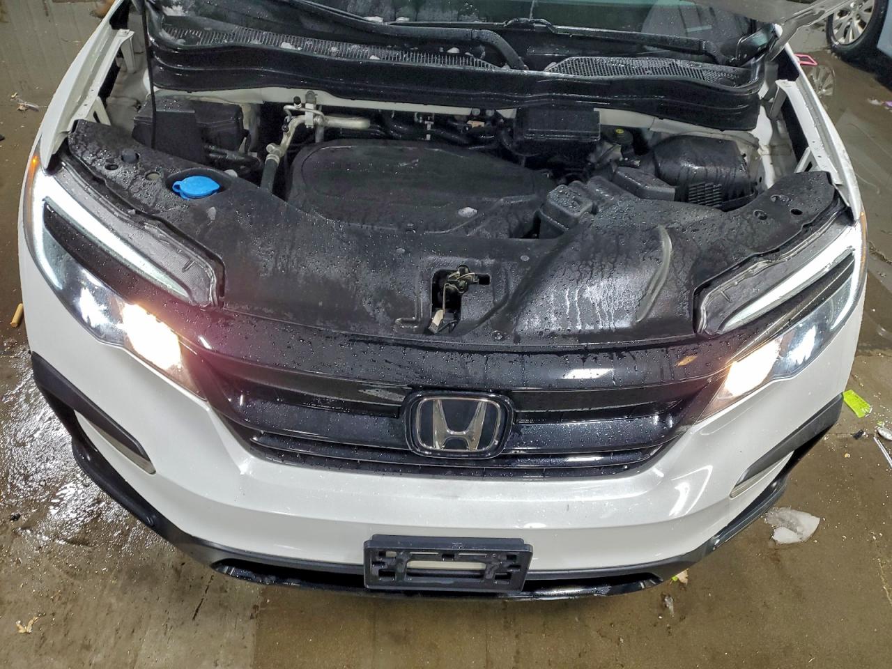 Honda Pilot Se Image 4