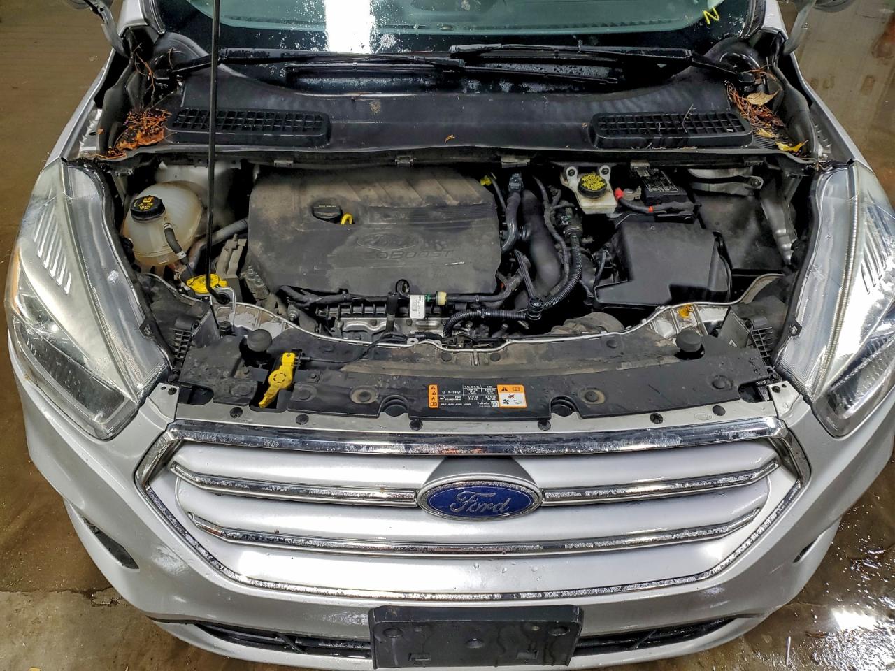Ford Escape Se Image 2