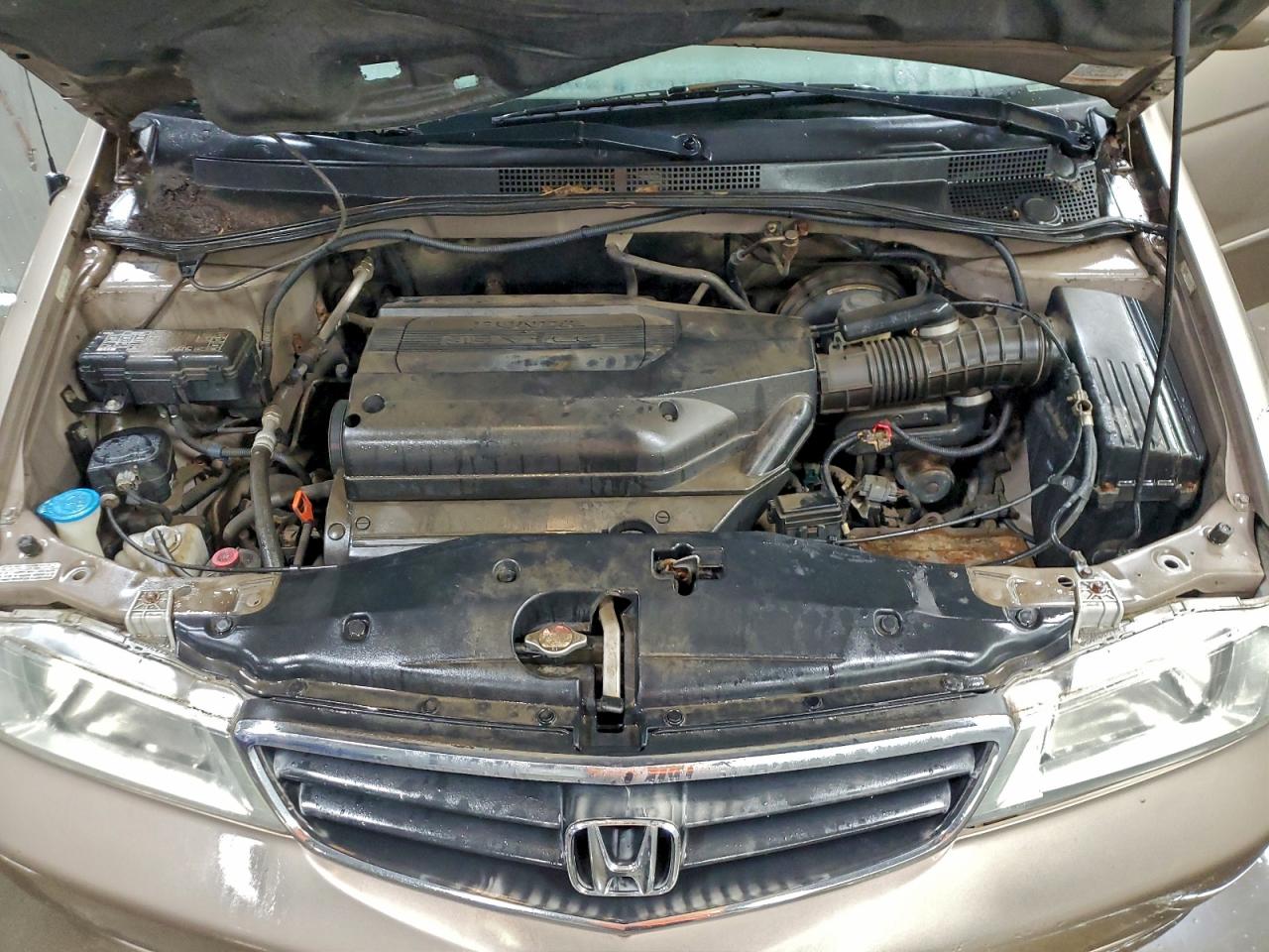 Honda Odyssey Ex Image 11