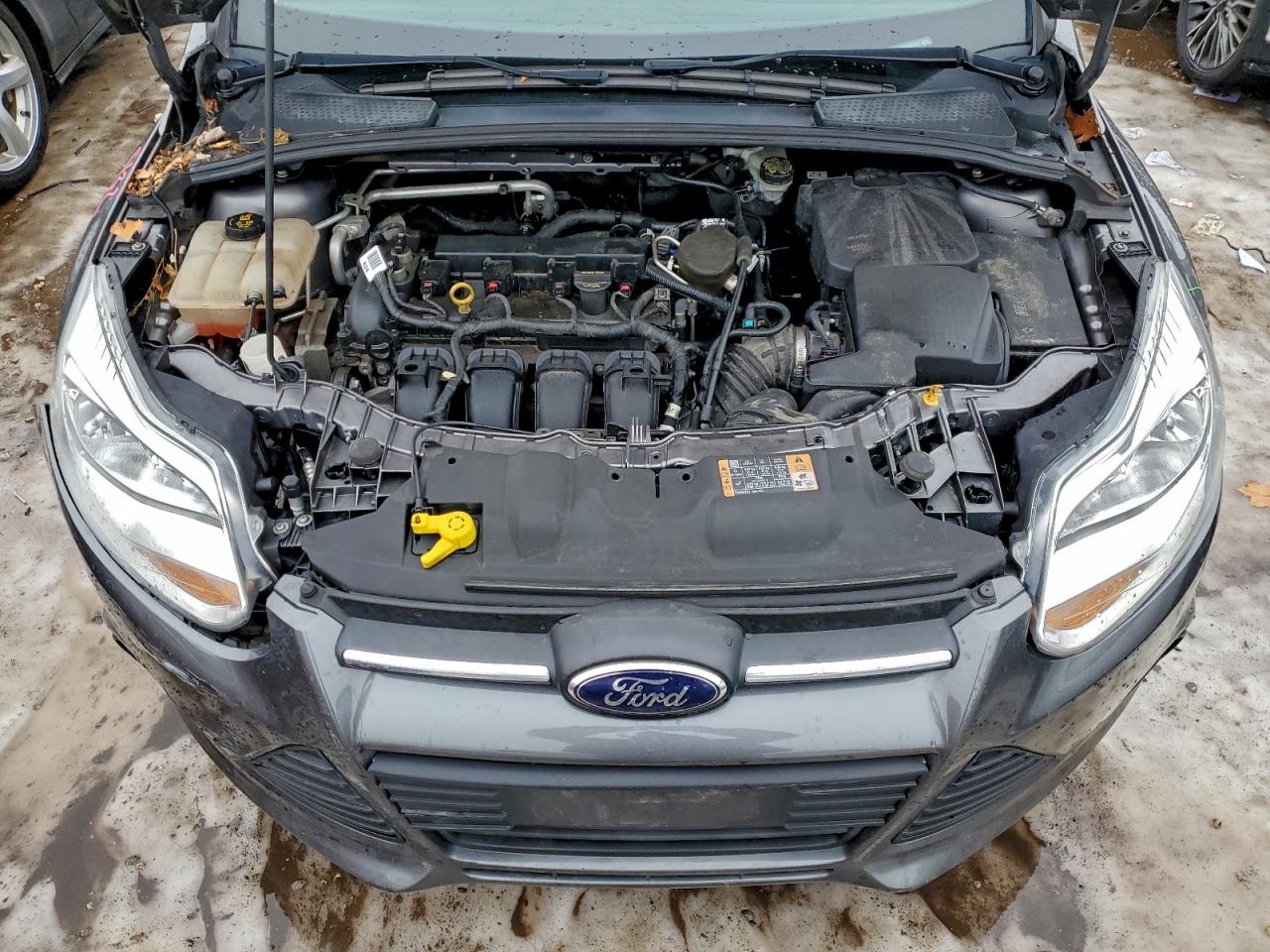 Ford Focus Se Image 6