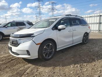  Salvage Honda Odyssey